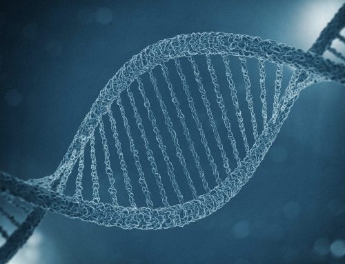 Why Aren’t Men Screened for Fragile X?